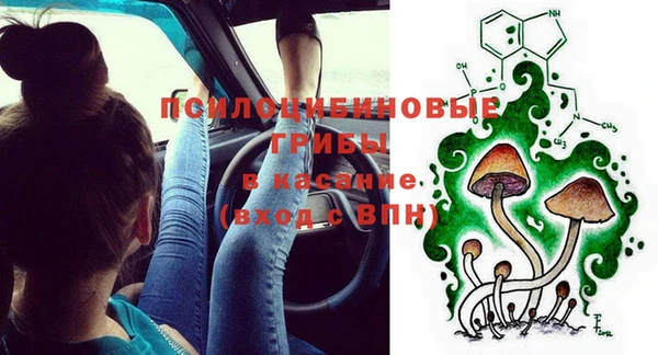 МДПВ Арсеньев