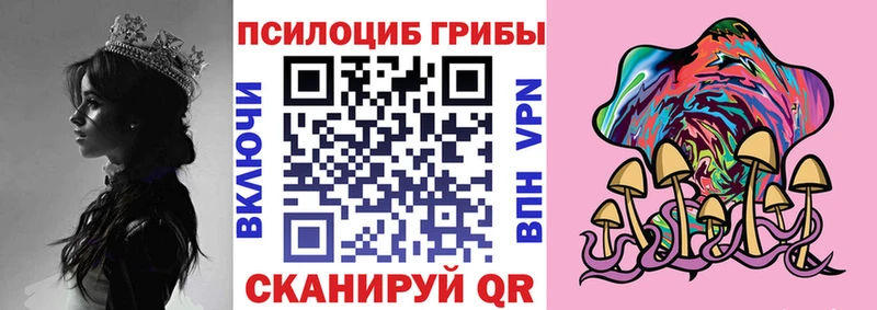 Псилоцибиновые грибы Psilocybine cubensis  купить наркоту  Рошаль 