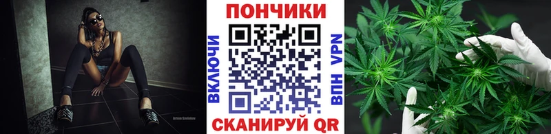 Каннабис конопля  Рошаль 